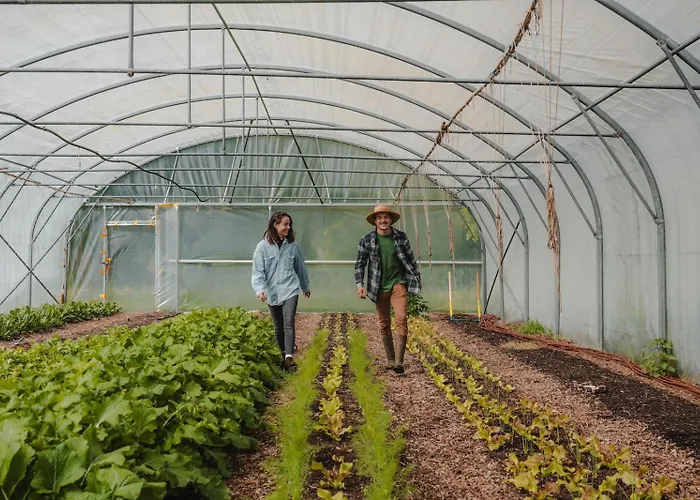 Parcel Tiny House Jardin Du Puits, Pres De Deauville Chalet Blangy-le-Château